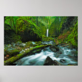Waterval | Herfsten van Grotto, Oregon Poster (Voorkant)