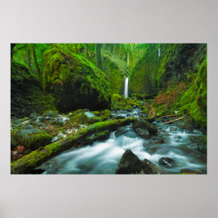 Waterval   Herfsten van Grotto, Oregon Poster