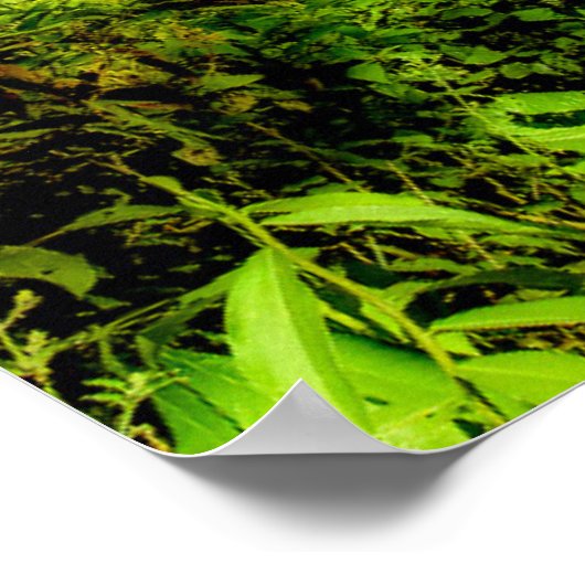 Waterval | Herfsten van San Rafael, Ecuador Poster (Hoek)