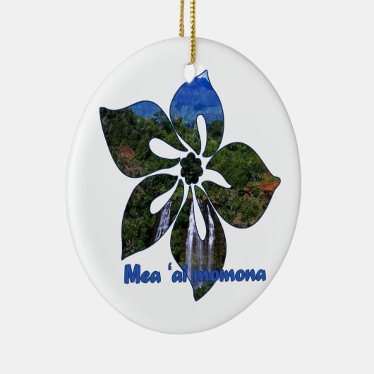 Waterval Hibiscus Hawaiiaanse Ornamenten (Rechts)