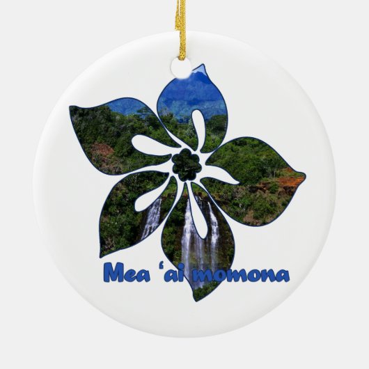 Waterval Hibiscus Hawaiiaanse Ornamenten (Achterkant)