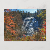 Waterval High Falls DuPont State Forest Herfst Briefkaart (Voorkant)