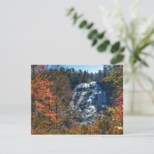Waterval Hoge Herfsten DuPont State Bos Herfst Briefkaart (Staand voorkant)