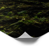 Waterval | IJslandse waterval Poster (Hoek)