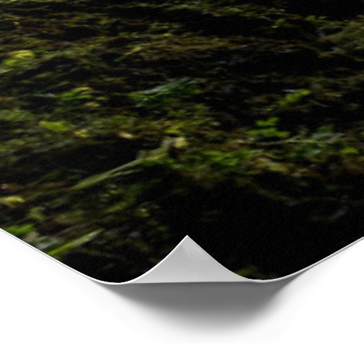 Waterval | IJslandse waterval Poster (Hoek)