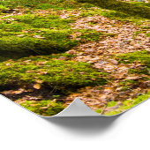 Waterval in Argyll, Poster van Schotland (Hoek)