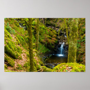 Waterval in Argyll, Poster van Schotland