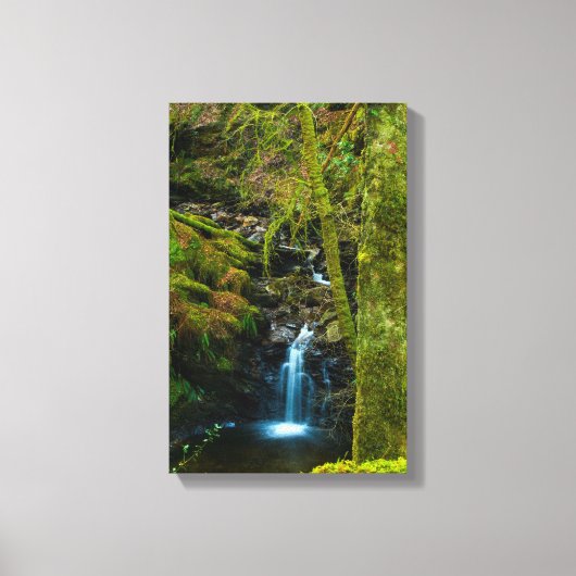 Waterval in Argyll, Scotland Canvas print (Voorkant)