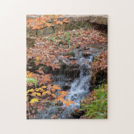 Waterval in Arkansas USA Jigzaag Puzzle Legpuzzel