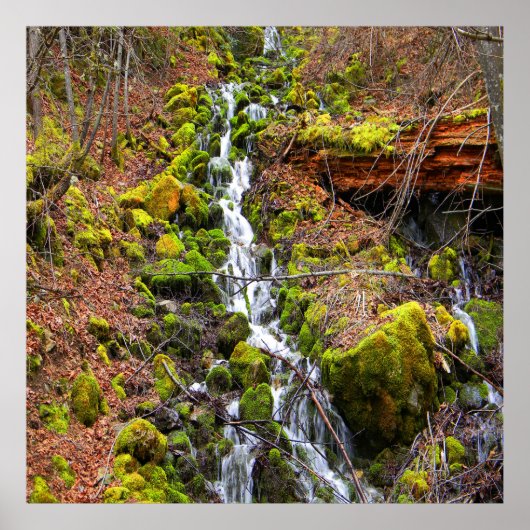 Waterval in bergbron..... poster (Voorkant)