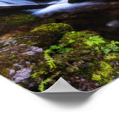 Waterval in betoverend bos poster (Hoek)