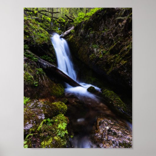 Waterval in betoverend bos poster (Voorkant)