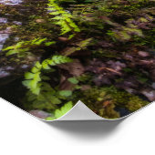 Waterval in betoverend bos poster (Hoek)