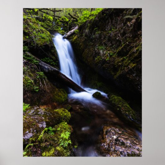 Waterval in betoverend bos poster (Voorkant)