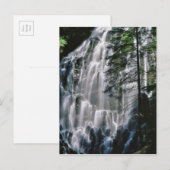 Waterval in bos, Oregon Briefkaart (Voorkant / Achterkant)