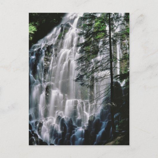 Waterval in bos, Oregon Briefkaart (Voorkant)