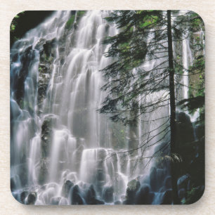 Waterval in bos, Oregon Drankjes Onderzetter