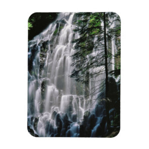 Waterval in bos, Oregon Magneet