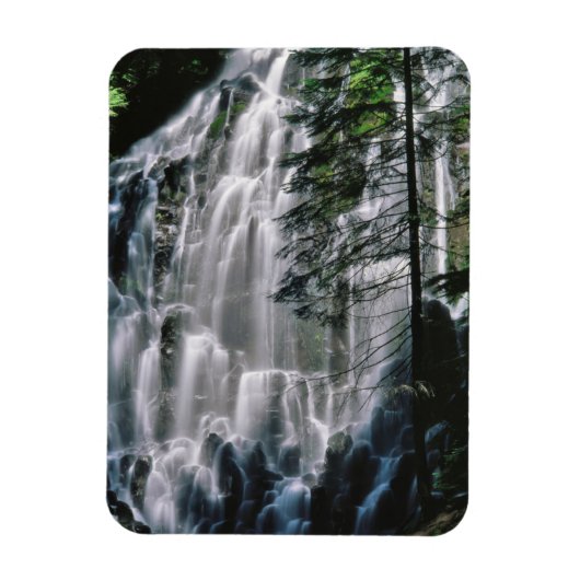 Waterval in bos, Oregon Magneet (Verticaal)