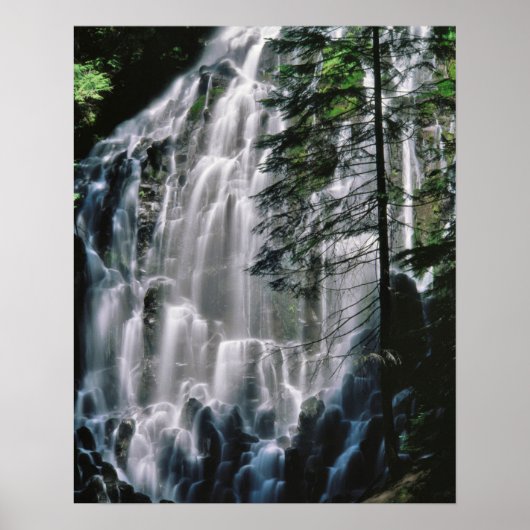 Waterval in bos, Oregon Poster (Voorkant)