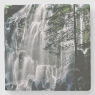 Waterval in bos, Oregon Stenen Onderzetter