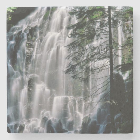 Waterval in bos, Oregon Stenen Onderzetter (Voorkant)