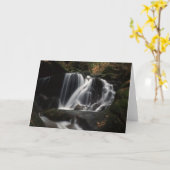 Waterval in Connecticut Notecards Kaart (Gele Bloem)