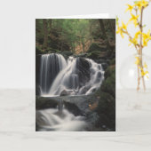 Waterval in Connecticut Notecards Kaart (Gele Bloem)