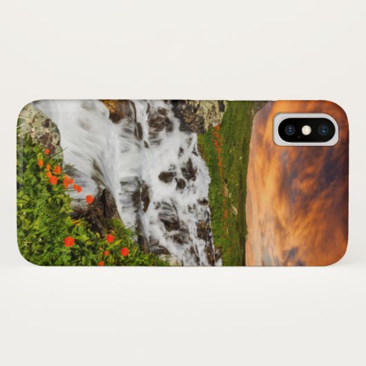 Waterval in de bergen met bloemen Case-Mate iPhone case (Achterkant (horizontaal))