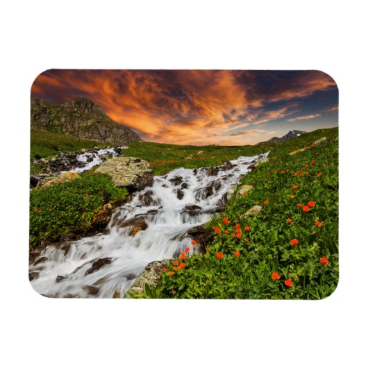 Waterval in de bergen met bloemen magneet (Horizontaal)
