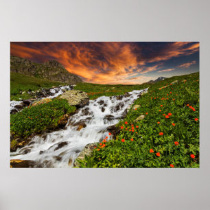 Waterval in de bergen met bloemen poster