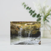 Waterval in de bergen van de Blauwe Ridge Briefkaart (Staand voorkant)