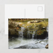 Waterval in de bergen van de Blauwe Ridge Briefkaart (Voorkant / Achterkant)