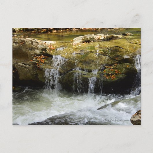 Waterval in de bergen van de Blauwe Ridge Briefkaart (Voorkant)