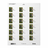 Waterval in de Bossen Etiket (Full Sheet)