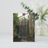 Waterval in de dierentuin briefkaart (Staand voorkant)