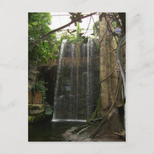 Waterval in de dierentuin briefkaart