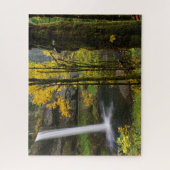 Waterval in de herfst van het Silver Herfsten Stat Legpuzzel (Verticaal)