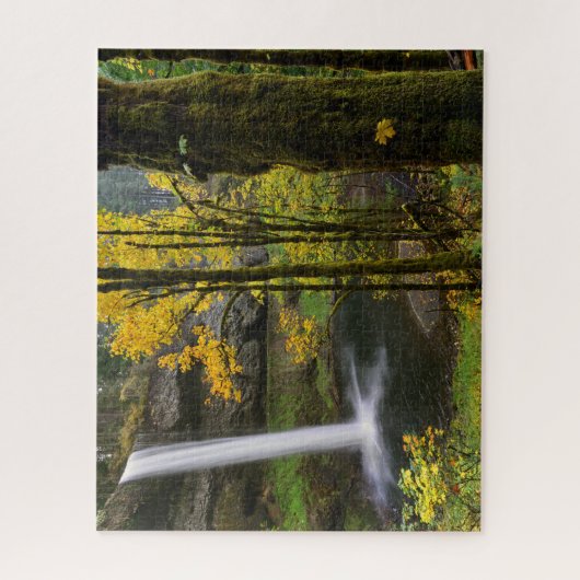 Waterval in de herfst van het Silver Herfsten Stat Legpuzzel (Verticaal)