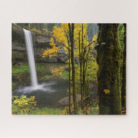 Waterval in de herfst van het Silver Herfsten Stat Legpuzzel (Horizontaal)