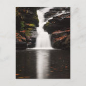 Waterval in de Poconos van Pennsylvania Briefkaart (Voorkant)