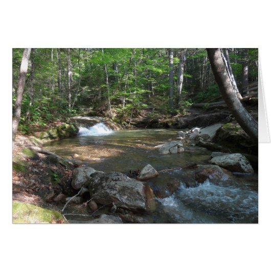 Waterval in de rivier de Pemigewasset I (Voorkant Horizontaal)