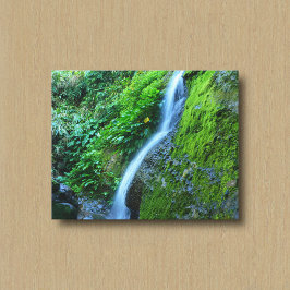 Waterval in de Wildernis Canvasprint Canvas Afdruk