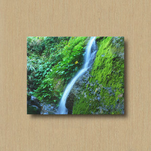 Waterval in de Wildernis Canvasprint Canvas Afdruk