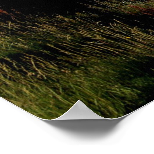 Waterval in de zomer poster (Hoek)