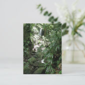 Waterval in Dominica Briefkaart (Staand voorkant)