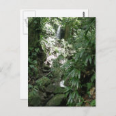 Waterval in Dominica Briefkaart (Voorkant / Achterkant)