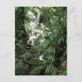 Waterval in Dominica Briefkaart (Voorkant)