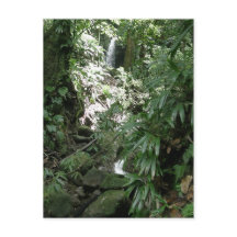 Waterval in Dominica