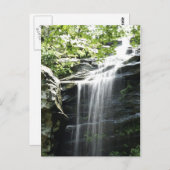 Waterval in Fern Clyffe State Park Briefkaart (Voorkant / Achterkant)